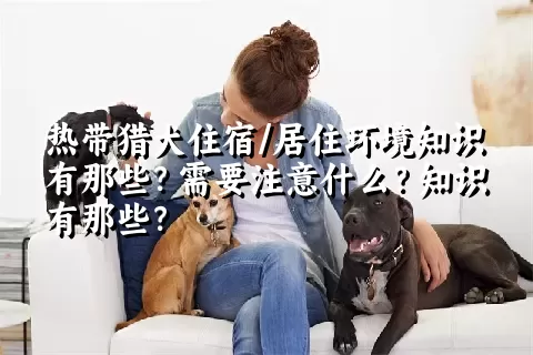 热带猎犬住宿/居住环境知识有那些？需要注意什么？知识有那些？