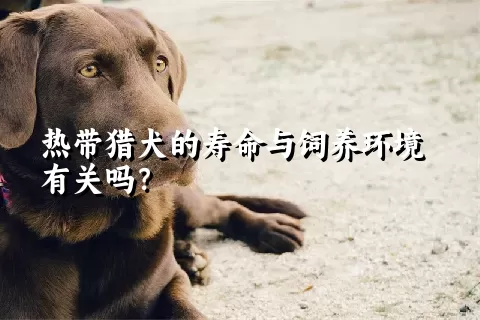 热带猎犬的寿命与饲养环境有关吗？