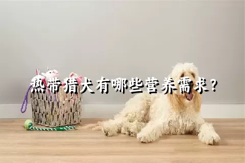 热带猎犬有哪些营养需求？