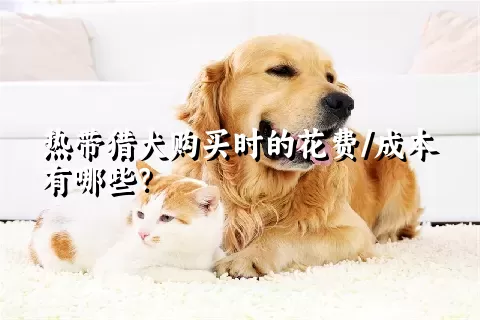 热带猎犬购买时的花费/成本有哪些？