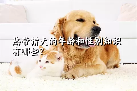 热带猎犬的年龄和性别知识有哪些？