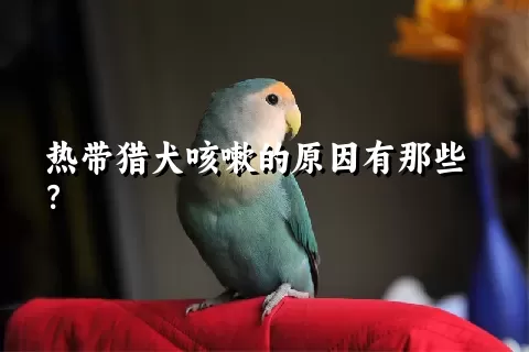 热带猎犬咳嗽的原因有那些？ 