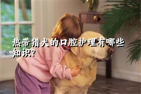 热带猎犬的口腔护理有哪些知识？