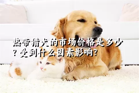 热带猎犬的市场价格是多少？受到什么因素影响？