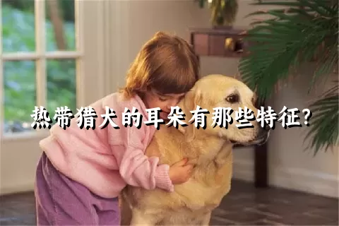 热带猎犬的耳朵有那些特征？