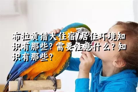 布拉贡猎犬住宿/居住环境知识有那些？需要注意什么？知识有那些？