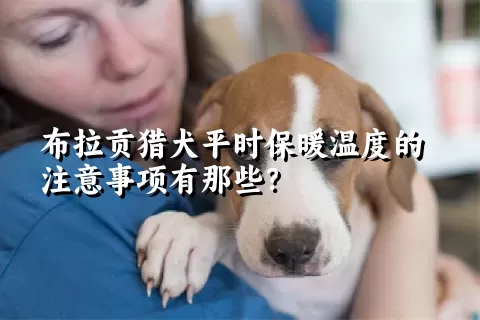 布拉贡猎犬平时保暖温度的注意事项有那些？ 