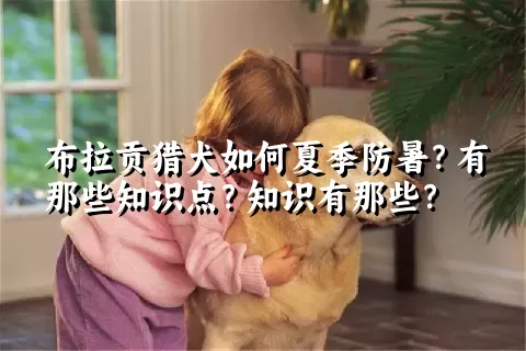 布拉贡猎犬如何夏季防暑？有那些知识点？知识有那些？