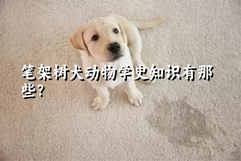 笔架树犬动物学史知识有那些？