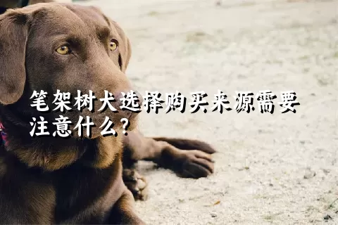 笔架树犬选择购买来源需要注意什么？ 