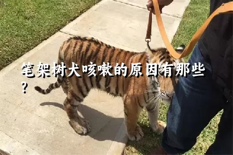 笔架树犬咳嗽的原因有那些？ 