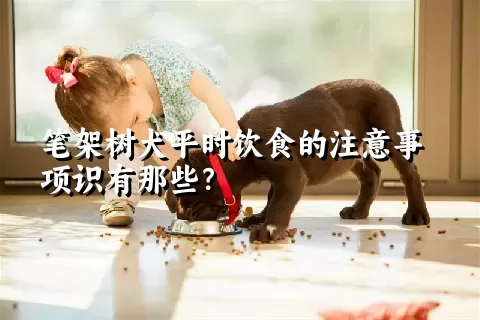 笔架树犬平时饮食的注意事项识有那些？ 