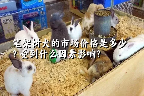 笔架树犬的市场价格是多少？受到什么因素影响？