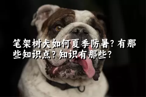 笔架树犬如何夏季防暑？有那些知识点？知识有那些？