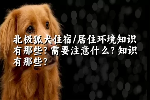 北极狐犬住宿/居住环境知识有那些？需要注意什么？知识有那些？