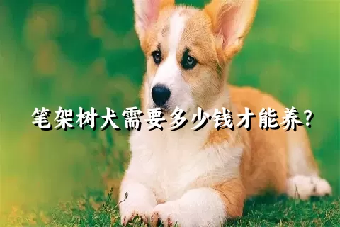 笔架树犬需要多少钱才能养？