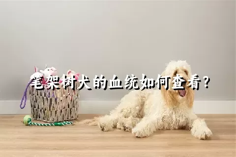 笔架树犬的血统如何查看？