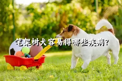 笔架树犬容易得哪些疾病？