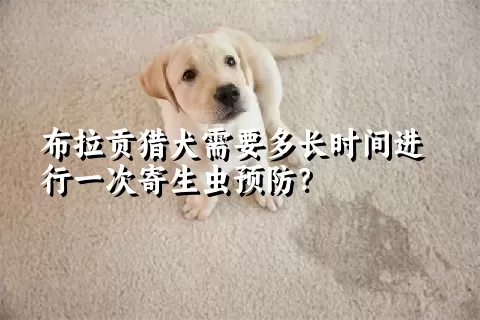 布拉贡猎犬需要多长时间进行一次寄生虫预防？