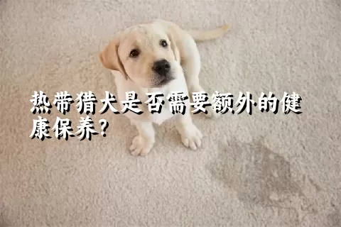 热带猎犬是否需要额外的健康保养？