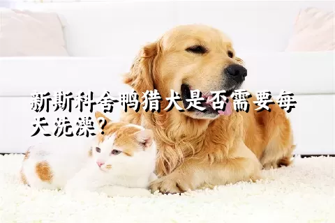 新斯科舍鸭猎犬是否需要每天洗澡？