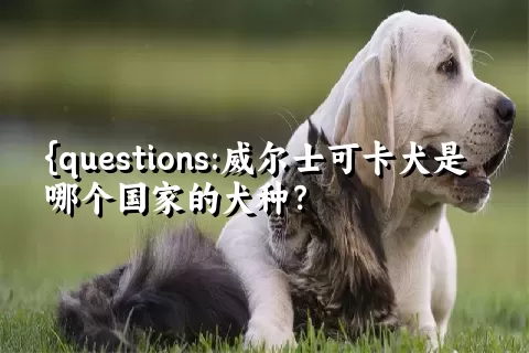 威尔士可卡犬是哪个国家的犬种？