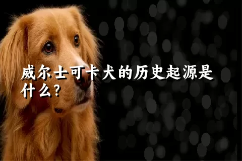 威尔士可卡犬的历史起源是什么？