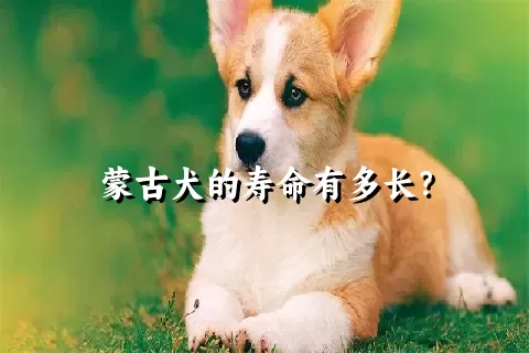 蒙古犬的寿命有多长？