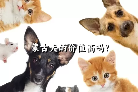 蒙古犬的价值高吗？