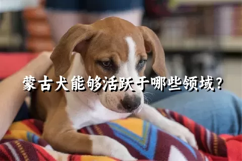 蒙古犬能够活跃于哪些领域？