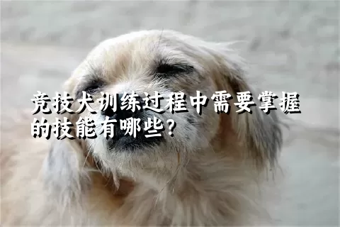 竞技犬训练过程中需要掌握的技能有哪些？