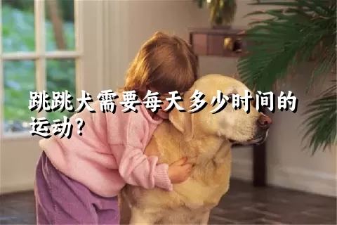 跳跳犬需要每天多少时间的运动？