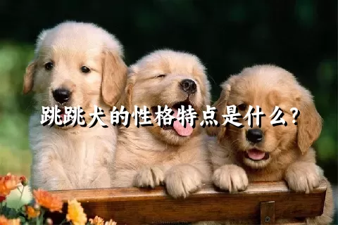 跳跳犬的性格特点是什么？