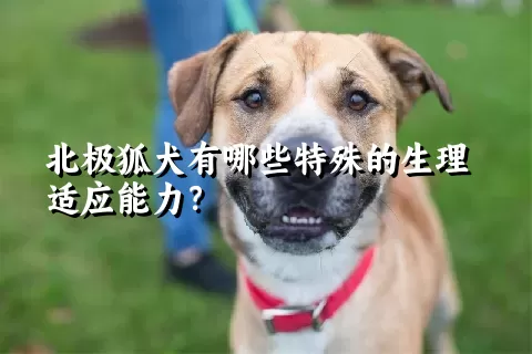 北极狐犬有哪些特殊的生理适应能力？