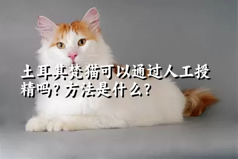 土耳其梵猫可以通过人工授精吗？方法是什么？