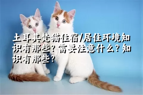 土耳其梵猫住宿/居住环境知识有那些？需要注意什么？知识有那些？