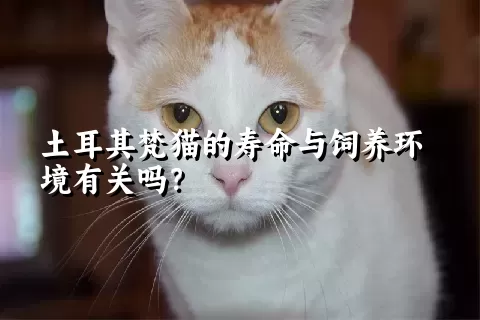 土耳其梵猫的寿命与饲养环境有关吗？