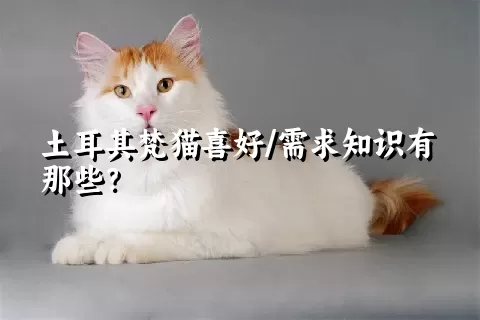 土耳其梵猫喜好/需求知识有那些？