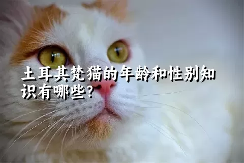 土耳其梵猫的年龄和性别知识有哪些？