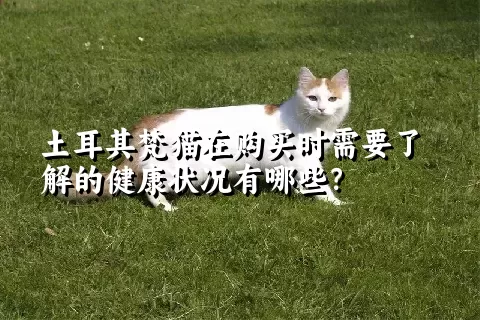 土耳其梵猫在购买时需要了解的健康状况有哪些？