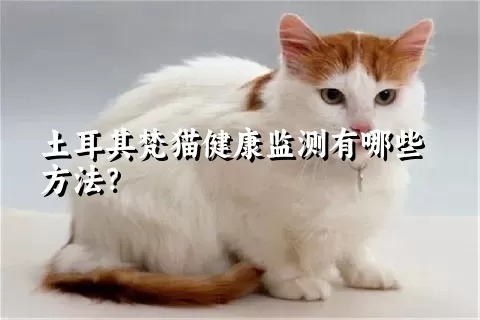 土耳其梵猫健康监测有哪些方法？