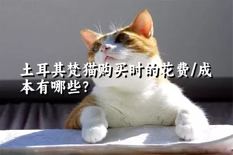 土耳其梵猫购买时的花费/成本有哪些？