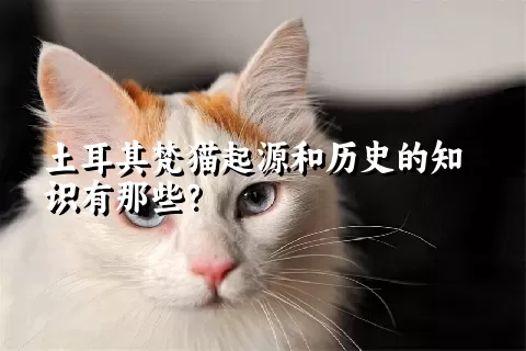 土耳其梵猫起源和历史的知识有那些？