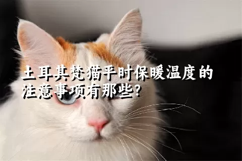 土耳其梵猫平时保暖温度的注意事项有那些？ 