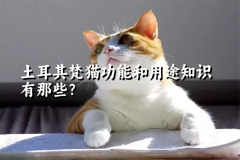 土耳其梵猫功能和用途知识有那些？