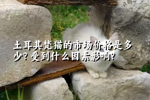 土耳其梵猫的市场价格是多少？受到什么因素影响？