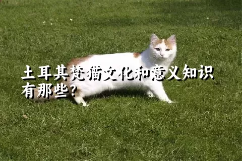 土耳其梵猫文化和意义知识有那些？