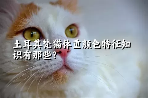 土耳其梵猫体重颜色特征知识有那些？