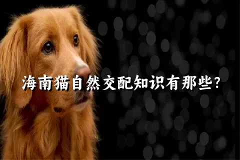 海南猫自然交配知识有那些？