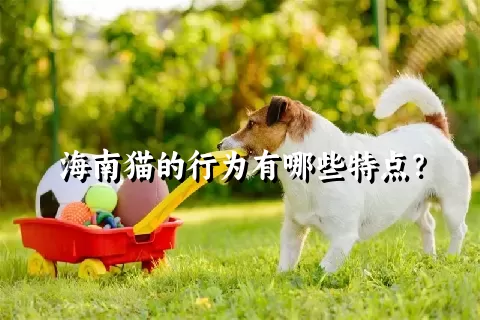 海南猫的行为有哪些特点？